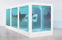 Damien Hirst Lenticular Shark Print, Signed Edition - Sold for $10,240 on 03-04-2023 (Lot 136).jpg